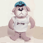 Miami SeaDogs